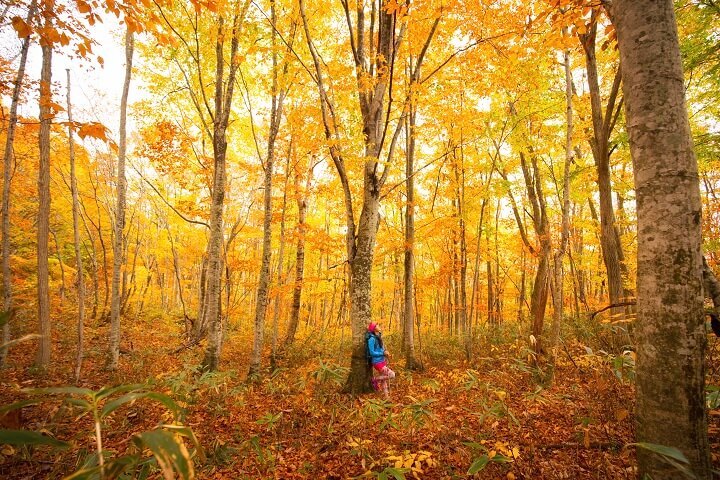星野リゾートのプレスリリース画像1