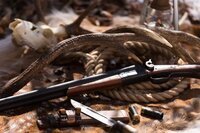 星野リゾートのプレスリリース画像1