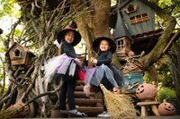 星野リゾートのプレスリリース画像4