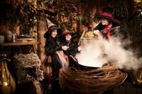 星野リゾートのプレスリリース画像1