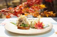 星野リゾートのプレスリリース画像5