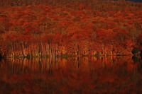 星野リゾートのプレスリリース画像2