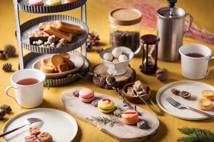 星野リゾートのプレスリリース画像4