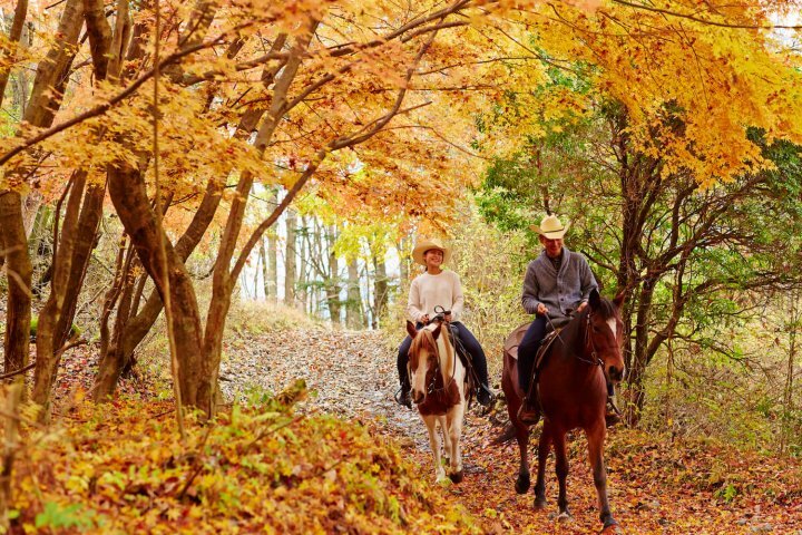 星野リゾートのプレスリリース画像3