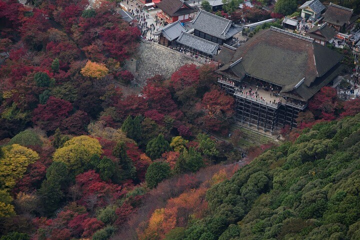 星野リゾートのプレスリリース画像4