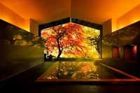 星野リゾートのプレスリリース画像5