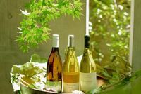 星野リゾートのプレスリリース画像3