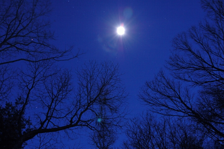 星野リゾートのプレスリリース画像6