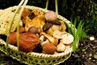 星野リゾートのプレスリリース画像5