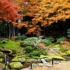 星野リゾートのプレスリリース画像4