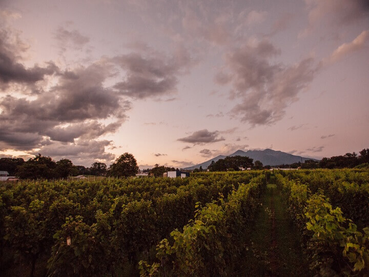 星野リゾートのプレスリリース画像1