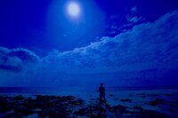 星野リゾートのプレスリリース画像1