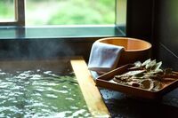 星野リゾートのプレスリリース画像5