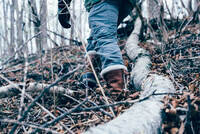 星野リゾートのプレスリリース画像4