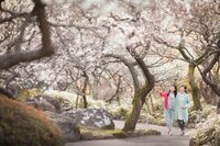 星野リゾートのプレスリリース画像4