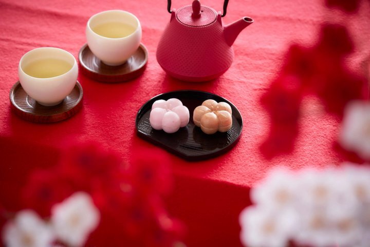 星野リゾートのプレスリリース画像3