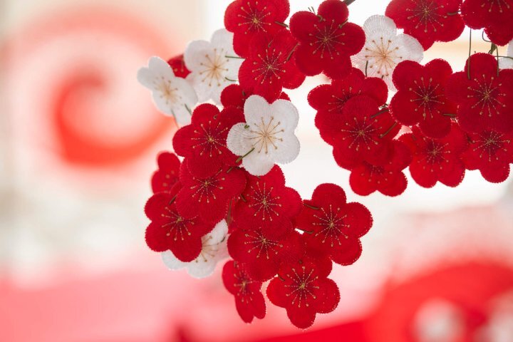 星野リゾートのプレスリリース画像2