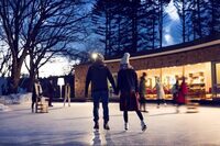 星野リゾートのプレスリリース画像5