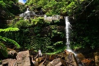 星野リゾートのプレスリリース画像3