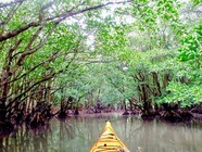 星野リゾートのプレスリリース画像2