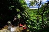 星野リゾートのプレスリリース画像1