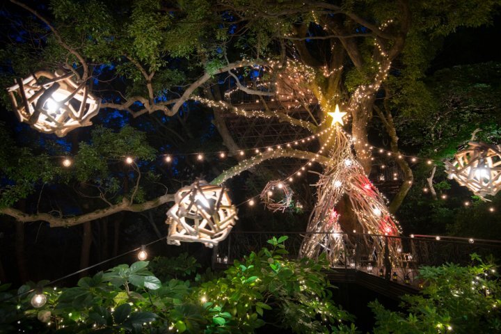 星野リゾートのプレスリリース画像3