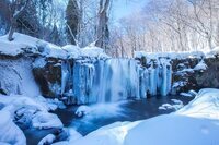 星野リゾートのプレスリリース画像2