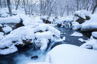 星野リゾートのプレスリリース画像4