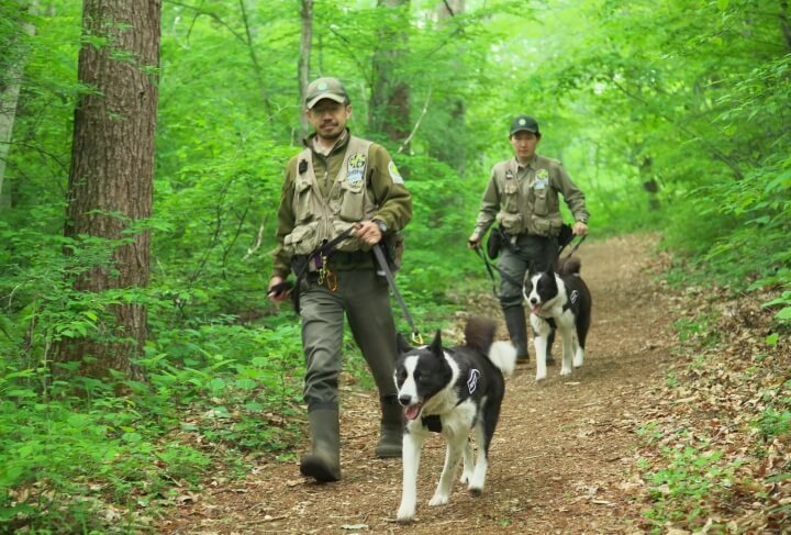 星野リゾートのプレスリリース画像4