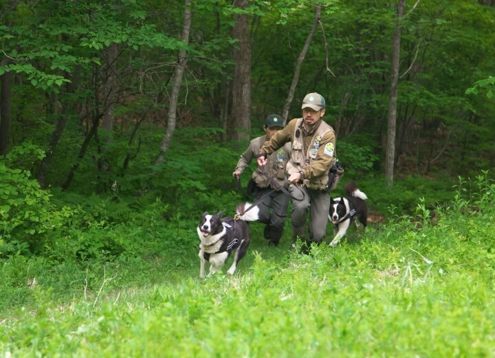 星野リゾートのプレスリリース画像3