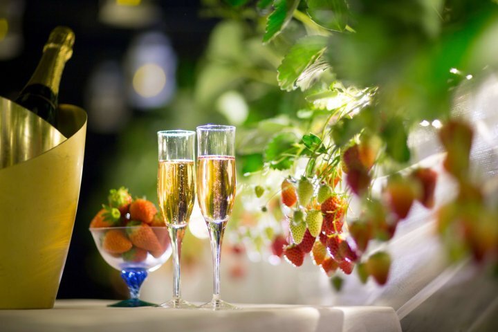 星野リゾートのプレスリリース画像2