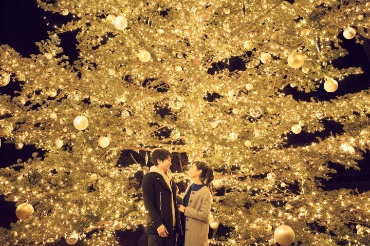 星野リゾートのプレスリリース画像4