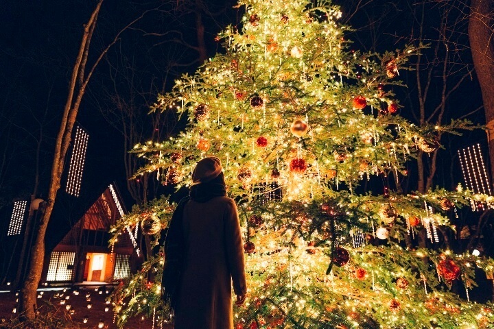 星野リゾートのプレスリリース画像5