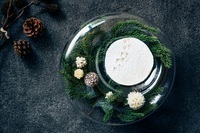 星野リゾートのプレスリリース画像3