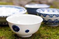 星野リゾートのプレスリリース画像3