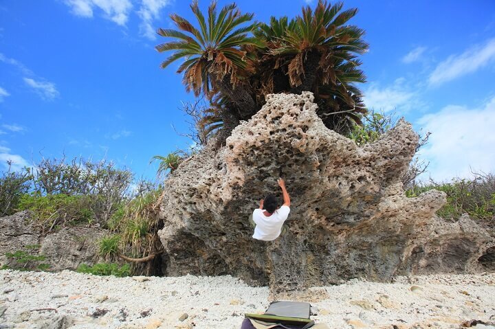 星野リゾートのプレスリリース画像1