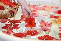 星野リゾートのプレスリリース画像3