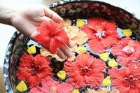 星野リゾートのプレスリリース画像1