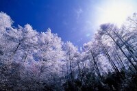 星野リゾートのプレスリリース画像2