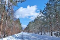 星野リゾートのプレスリリース画像1