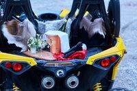 星野リゾートのプレスリリース画像4