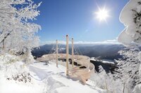 星野リゾートのプレスリリース画像6