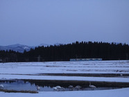 星野リゾートのプレスリリース画像4