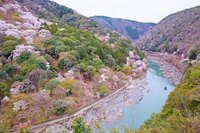 星野リゾートのプレスリリース画像3