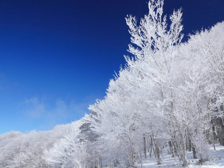 星野リゾートのプレスリリース画像1