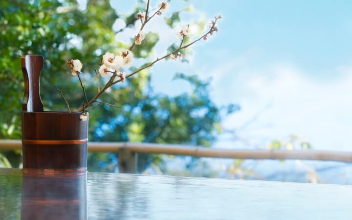 星野リゾートのプレスリリース画像2