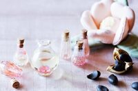 星野リゾートのプレスリリース画像3