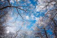 星野リゾートのプレスリリース画像2