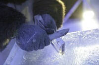 星野リゾートのプレスリリース画像4