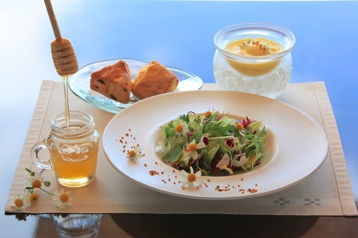 星野リゾートのプレスリリース画像1